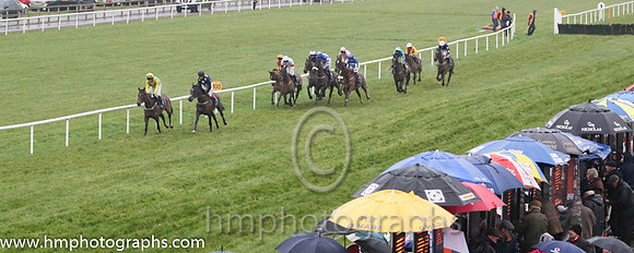Race 5 The Dark Horse Wine Bar Maiden Hurdle at Down Royal on Boxing Day 2014
