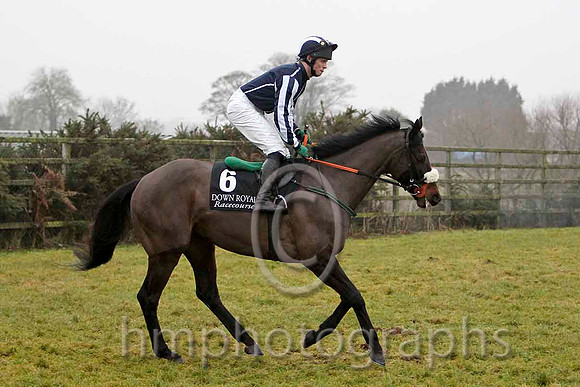Fasolo 2nd, Jockey Mr A T Duff  - CU2D2146-e