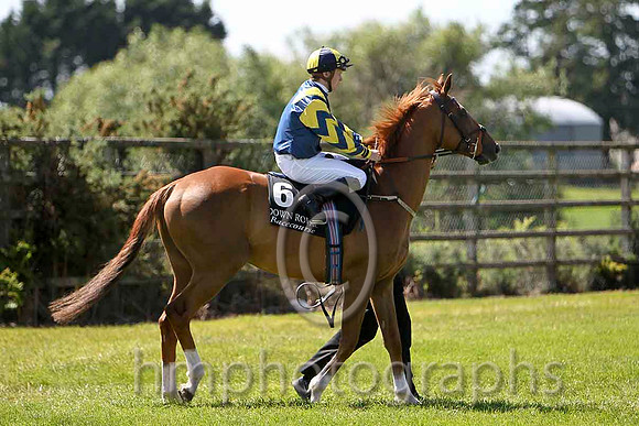 Murrisk 14th, Jockey S M Gorey - CU2D0238-e