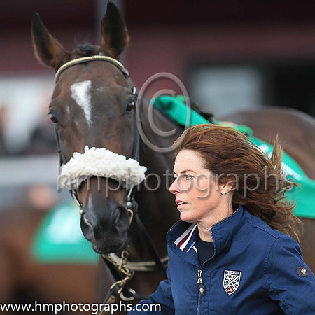 Downpatrick Racecourse