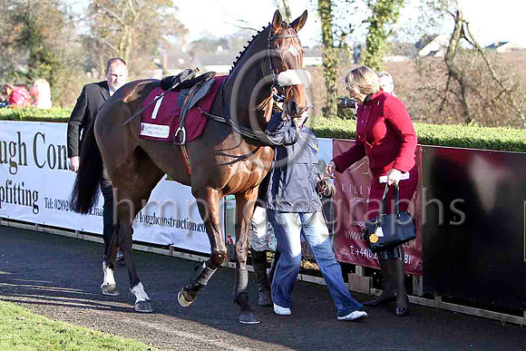 Bostons Angel , Useated Rider , Jockey R M Power -FT8E6967-e