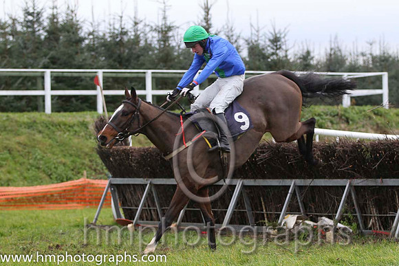 01 Davyroy & N McParlan - winner (9, royal blue, emerald green panel) - FT8E1094-60