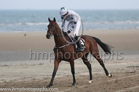 2 smoker and Mr S Clements - - 2nd (4 ,grey, dark green spotson sleeves ) Trainer - P J Prendergast