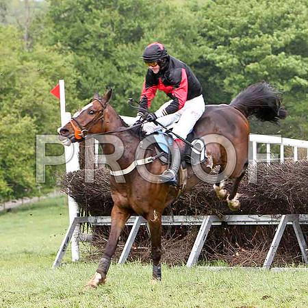 Maypole Dancer, Unplaced, Jockey C Cully - FT8E2546-e
