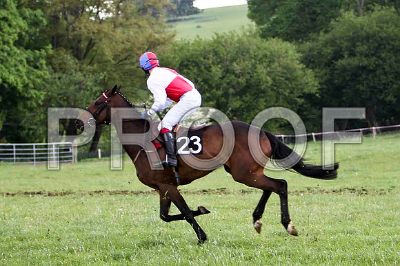Redbridge Lady , PU, Jockey G L Murphy - FT8E2569-e