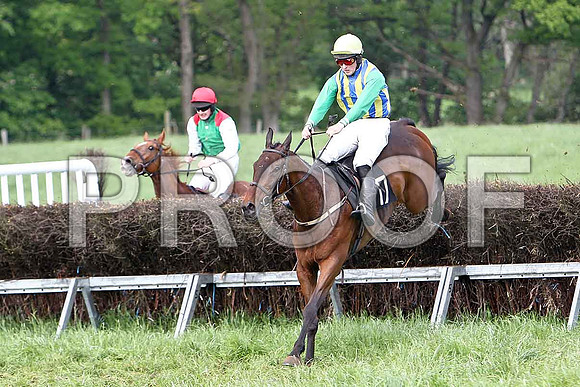 Race 6 Div 1 -Mr Moneyspinner (20) Winner, Rider M J O'Hare & Macroger (17) 3rd, Rider D A Fitzsimmons - CU2D9773-e