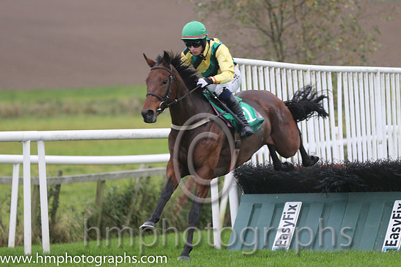 13 Montego Breeze and M A Enright - PU - 13th (11 ,yellow, green and black stripes ) Trainer - J W Nicholson