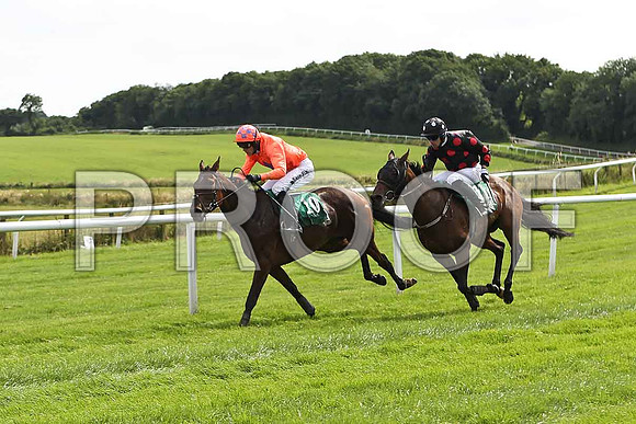 Rory's Sister , 6th Jockey Andrew J McNamara & Idle words , 7th Jockey M J Ferris - FT8E2959e