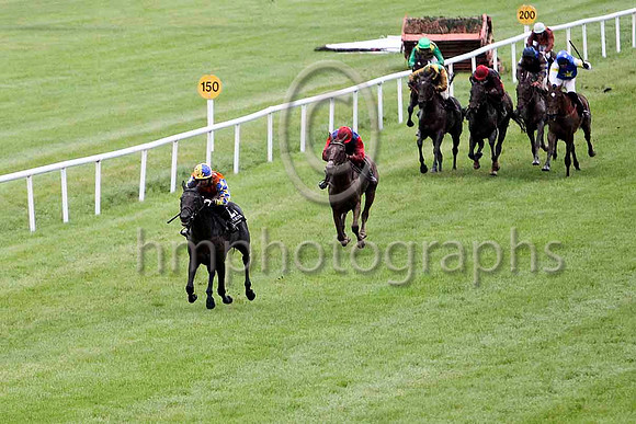 Mister Nibbles & Mr S Crawford - winner (21, orange, royal blue star) - FT8E5472-e2