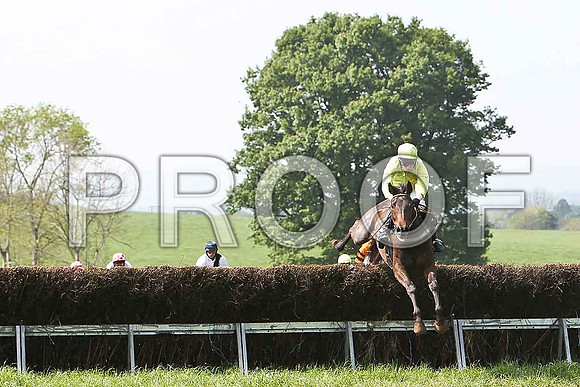 Third Race - Nobel Steel (10) Winner, Rider B O'Neill - CU2D9573-e