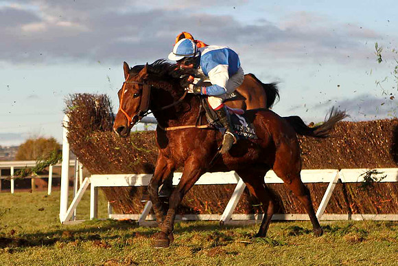 Rossbeigh 6th, Jockey P F Mangan - CU2D3274-e