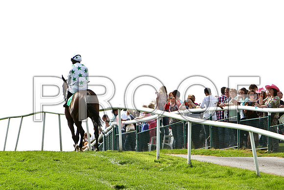 Hamalka 5th, Jockey P Carberry - CU2D1610-e2