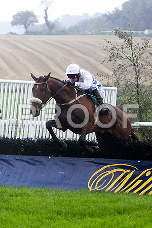 Glibin 4th , Jockey Andrew J McNamara - FT8E5232-e2