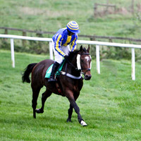 Farfields , 5th - Jockey Mr S Crawford - FT8E5257-e4