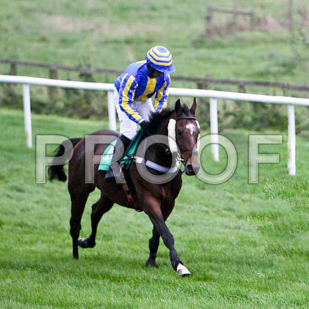 Farfields , 5th - Jockey Mr S Crawford - FT8E5257-e4