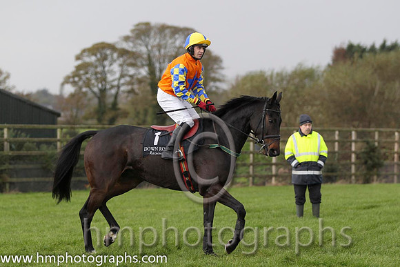01 Gilt Shadow & Mr S Crawford - winner (1, orange, royal blue star) - FT8E0255-73
