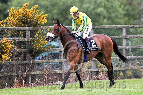R5 - Invincible Viber 5th, Jockey K Latham - FT8E0523-e