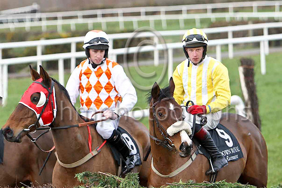 Dukes Mutiny & M W Bowes - Fell & Ishlana & M P Butler - PU - FT8E9091-e