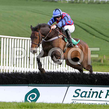 Quws Quest , PU, Jockey D J Bates - FT8E3041-e