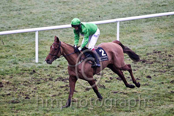 Gris Lord 3rd, Jockey Mr C Cully - CU2D2184-e