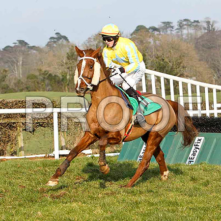 Serious Twine - PU, Jockey K M Donoghue - FT8E0485-e