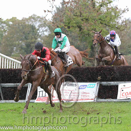 03 HeartandAHalf & B O'Neill - 3rd (26, white, green st brigids cross ) - FT8E9439-9