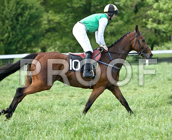 Race 6 Div 2 - Glyding Feather (10) Winner, Rider M J O'Hare - CU2D9791-e