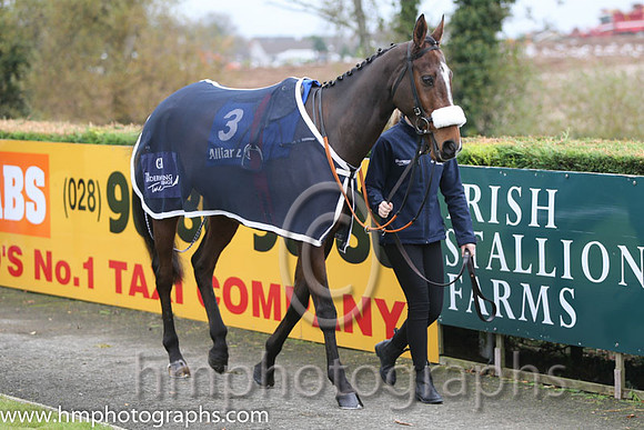 14 Tico and B J Geraghty - PU - 14th (3 ,purple and yellow hoops ) Trainer - G Elliott