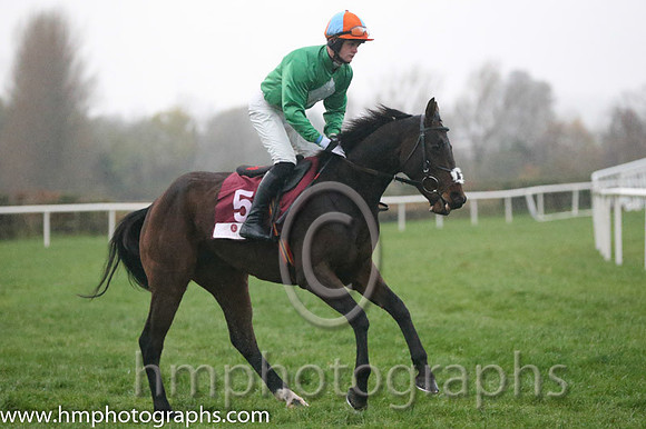 07 Storm Knight and Mr Gerald Steven Quinn - - 07th (5 ,green, white diamond ) Trainer - V Wilson