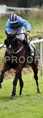 Ithinkbest - 12th , Jockey D N Russell - CU2D9445-e
