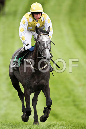 The Grey Express - 4th , Jockey P Townend - CU2D9494-e