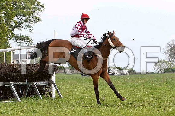 Im A Witness, Unplaced, Jockey J J Slevin - FT8E2524-e