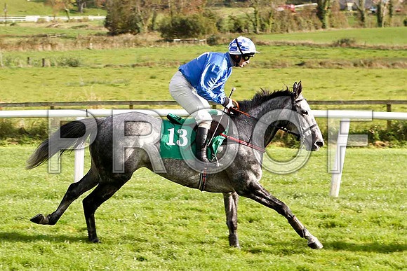 Naomh Moling , Jockey T P Treacy - PU - FT8E4417-e