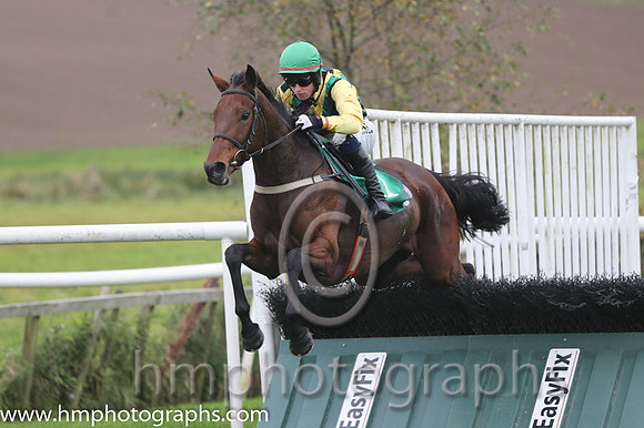 13 Montego Breeze and M A Enright - PU - 13th (11 ,yellow, green and black stripes ) Trainer - J W Nicholson