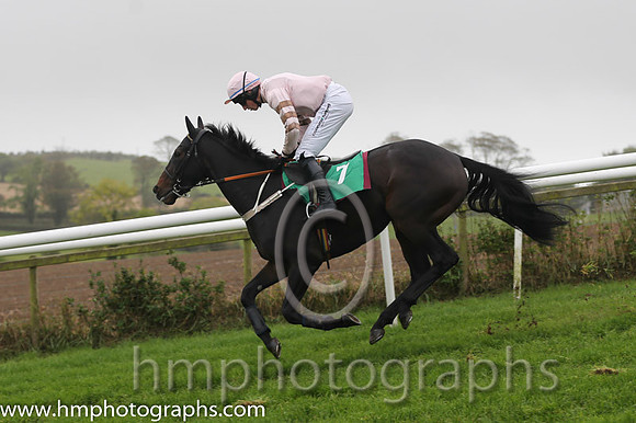 12 Thornfield and M P Fogarty - F - 12th (7 ,Pink, brown hoops on sleeves ) Trainer - D McDonogh