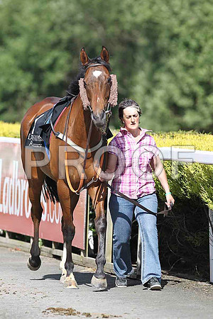 Luttrell Lady 2nd - FT8E1345-e