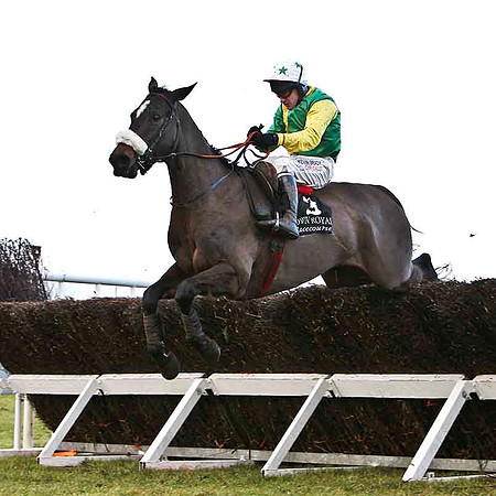 Cayo Levantado 7th, Jockey P Carberry - FT8E9977-e