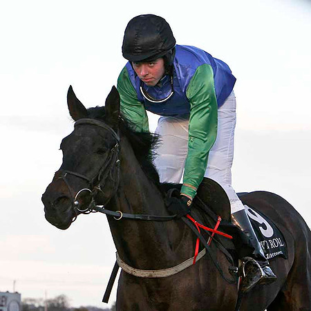 Whoeisky 16th, Jockey Mr M Watson - FT8E0043-e