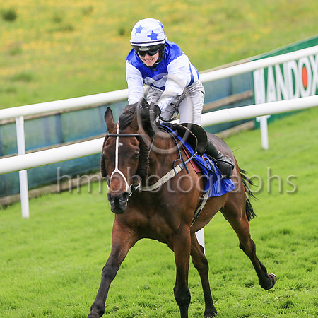 01st Biko Miss O'Sullivan ( 2 , blue  white hoops ) Trainer - P Martin , Owner - E Duignan