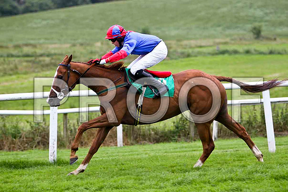 McSwynes Bay winner, Jockey K M Donoghue - CU2D0929-e