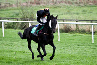Ira Gumberg , 10th - Jockey D J Bates - FT8E5251-e
