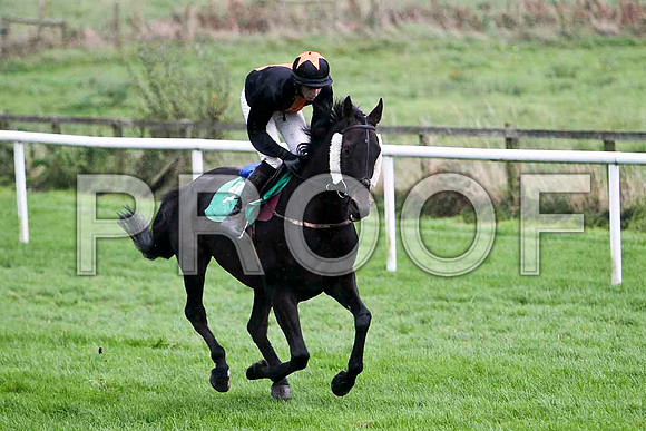 Ira Gumberg , 10th - Jockey D J Bates - FT8E5251-e