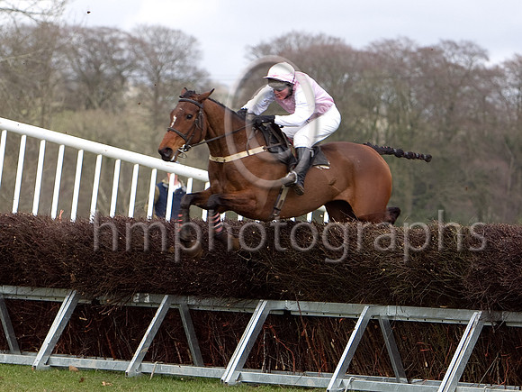 Second Race - Corey's Wee Rocket 6th , jockey Ms H Curran - CU2D7063-e3a4j