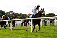 Casadie 5th, Jockey Andrew J McNamara in the lead - FT8E3040-E