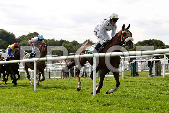Casadie 5th, Jockey Andrew J McNamara in the lead  - FT8E3040-E