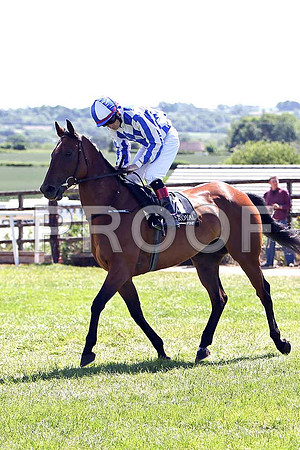 First in Command 3rd, Jockey R P Whelan - CU2D0197-e