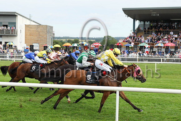 02nd Aloysius Lilius (1 , green, grey braces ) Jockey: C D Hayes , Trainer: Gerard O'Leary