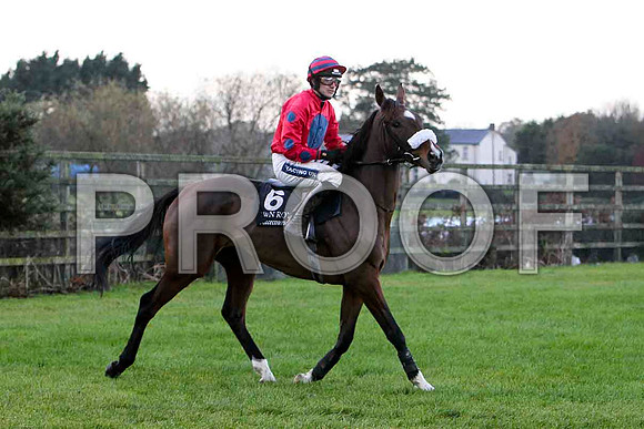 Another Ambition - 4th - Jockey Ruby Walsh - CU2D0783-e