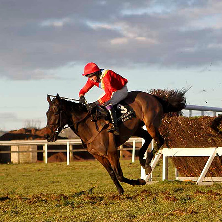 Derravarra Bay 2nd , Jockey E F Power -CU2D3268-e
