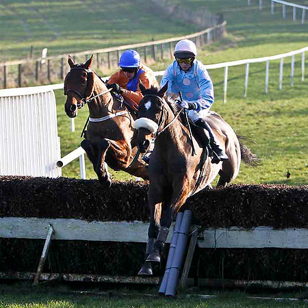 Inoma James (white noseband) , 8th Jockey C D Maxwell -FT8E0490-e